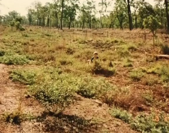 Yes, I learnt this lesson the hard way.