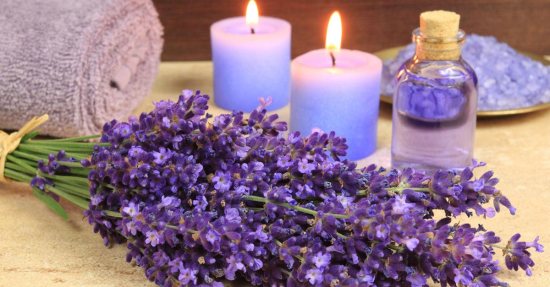 lavender oil
