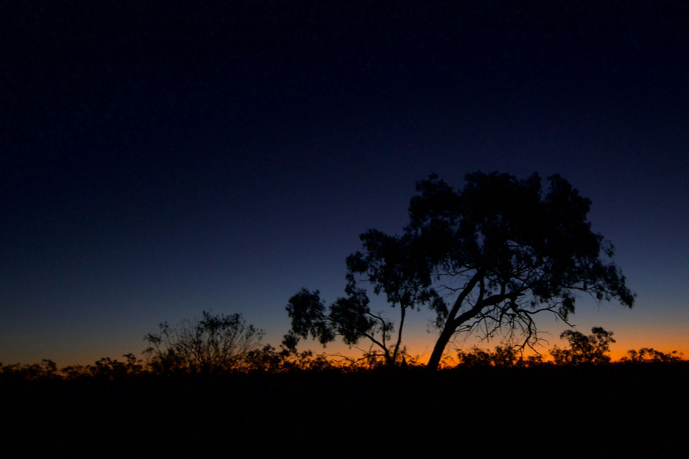 Outback dusk